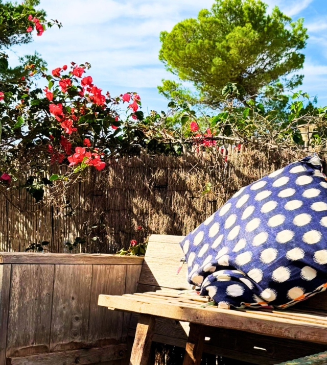 Resa Estates Ibiza Cala Tarida first line 3 bedrooms garden bed .jpg